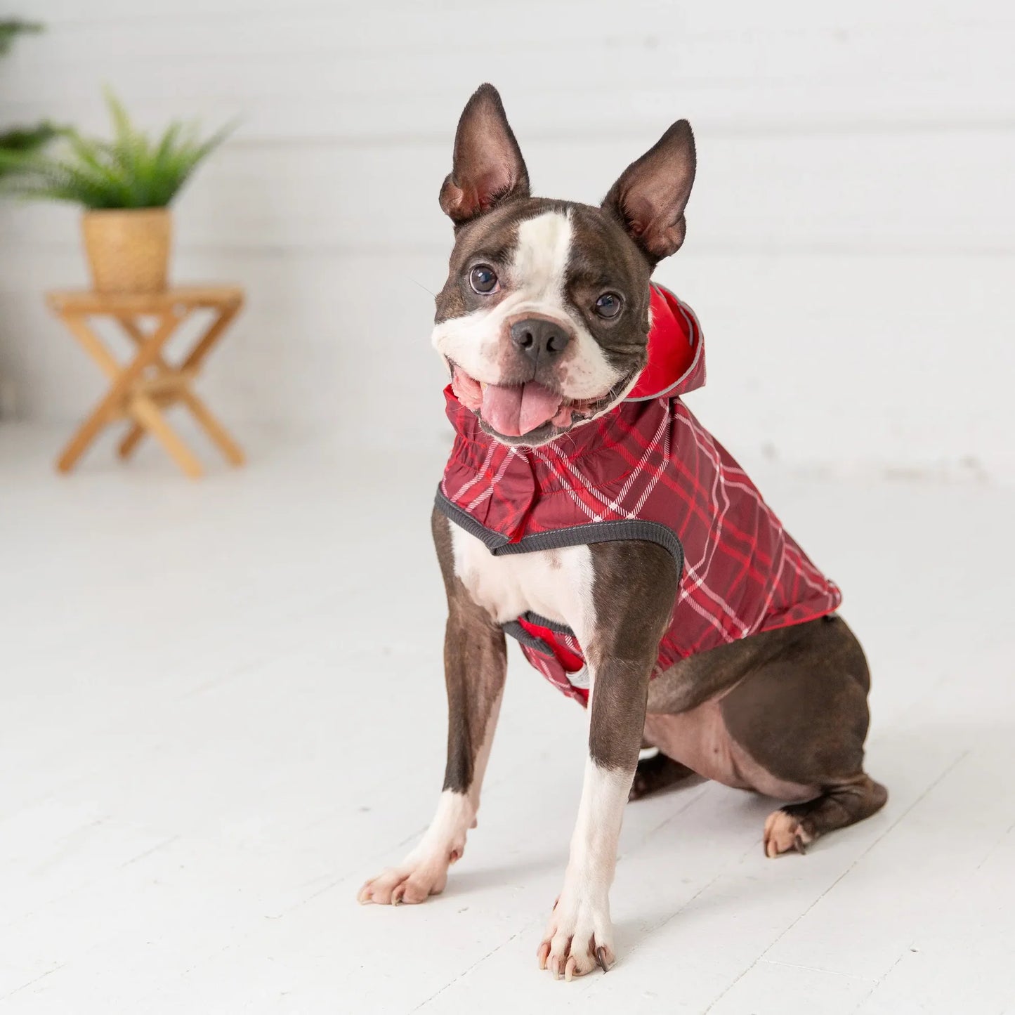 GF Pet® reversible raincoat