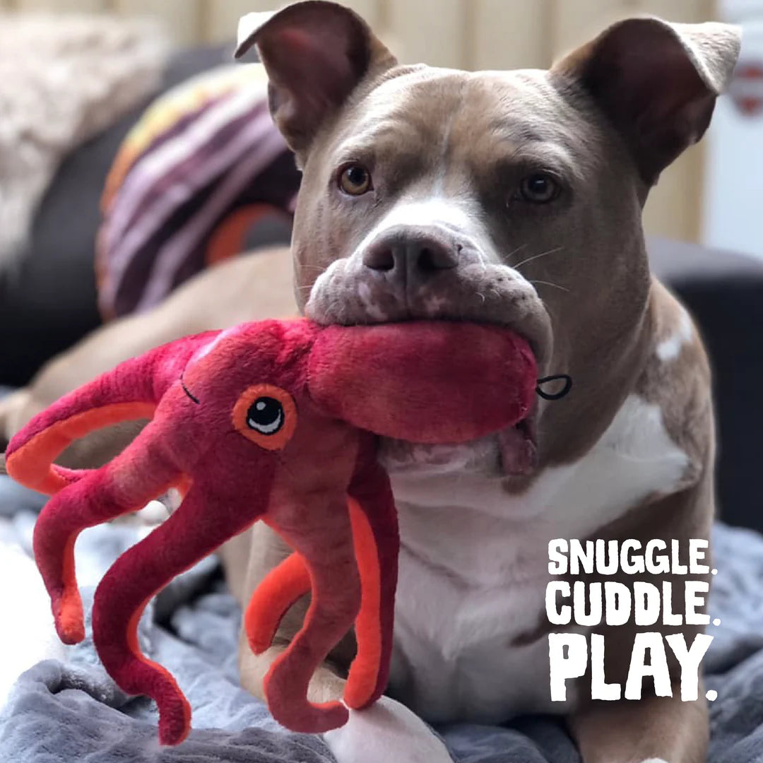 Snugarooz Octopus Crinkle Toy