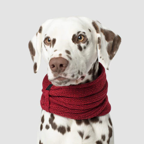 CanadaPooch Sierra Scarf Maroon