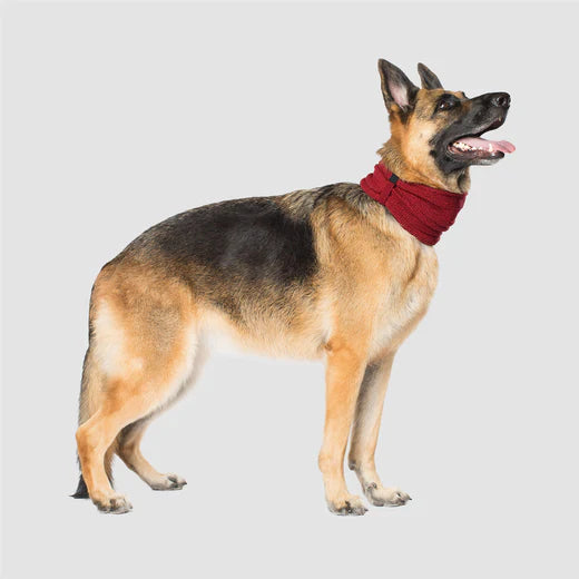 CanadaPooch Sierra Scarf Maroon