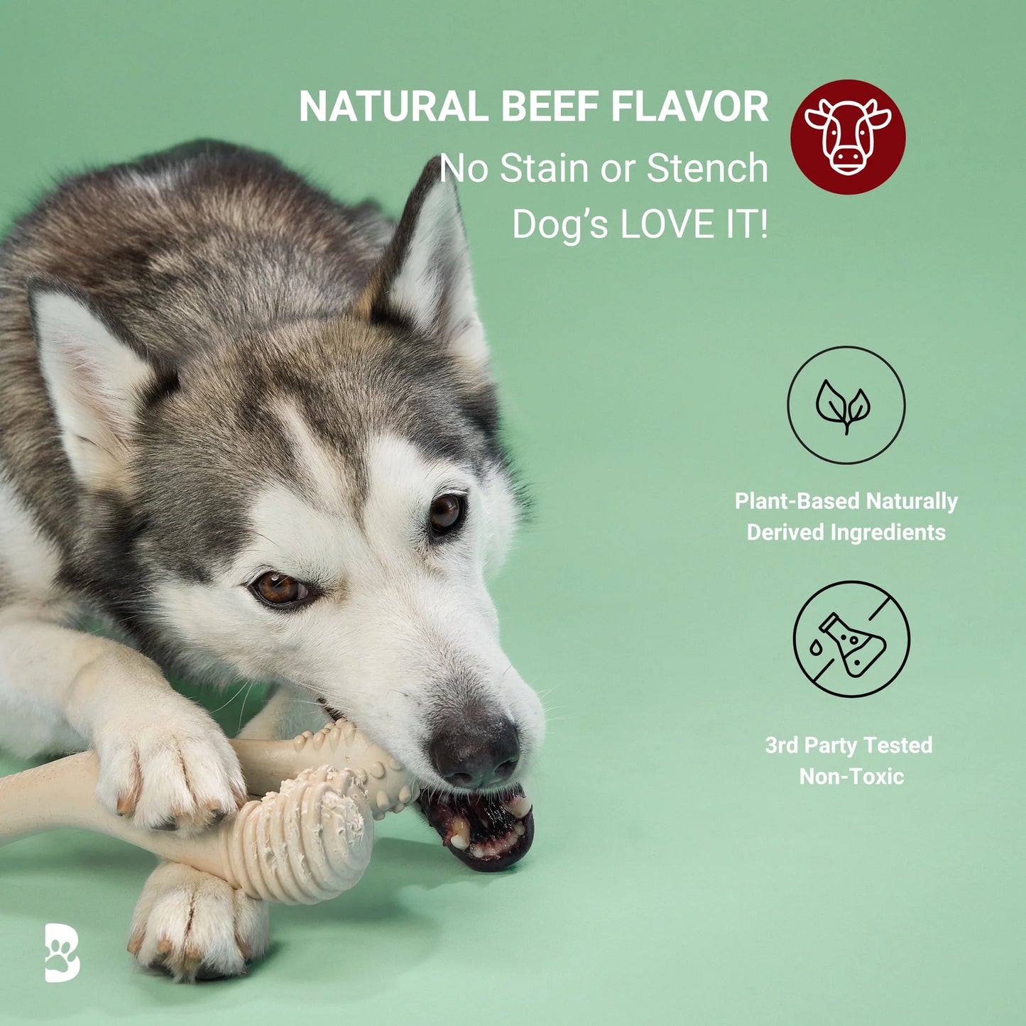 BetterBone Medium Density Classic Large Chew