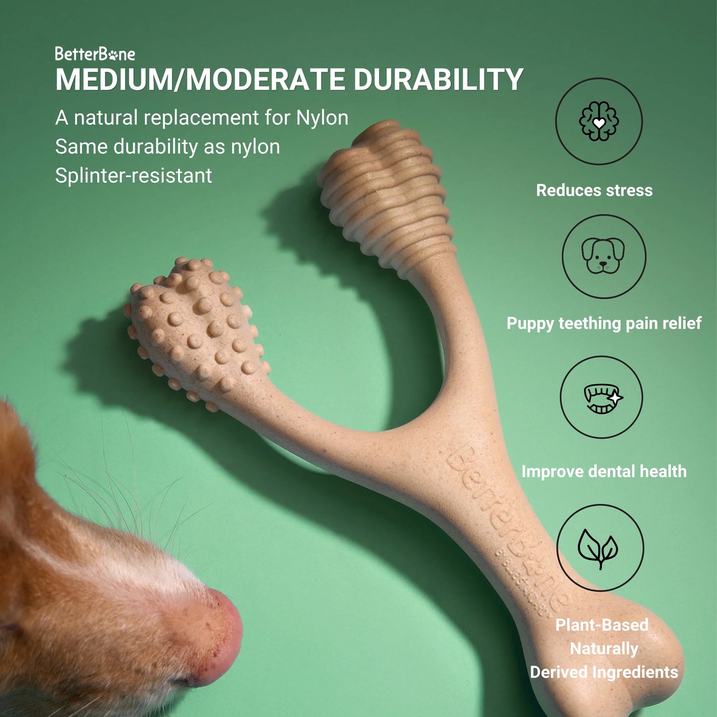 BetterBone Medium Density Classic Large Chew