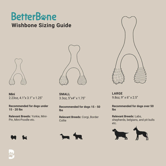 BetterBone Medium Density Classic Mini Chew