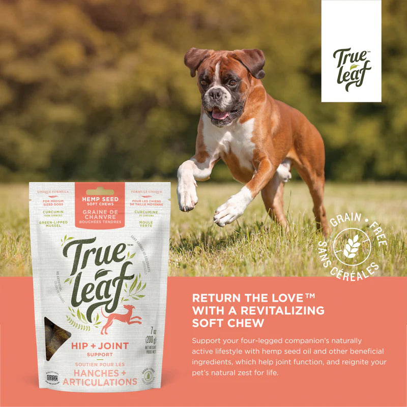 Trueleaf Hip + Joint Support Chews for Dogs (200g)