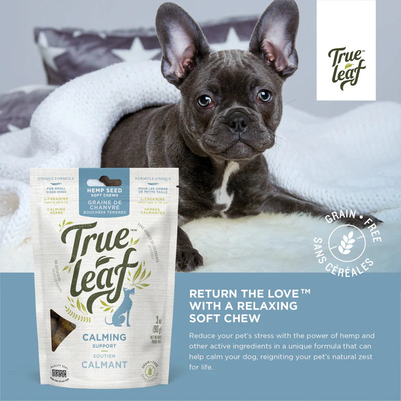 Trueleaf Calming Support Chews for Dogs (90g)