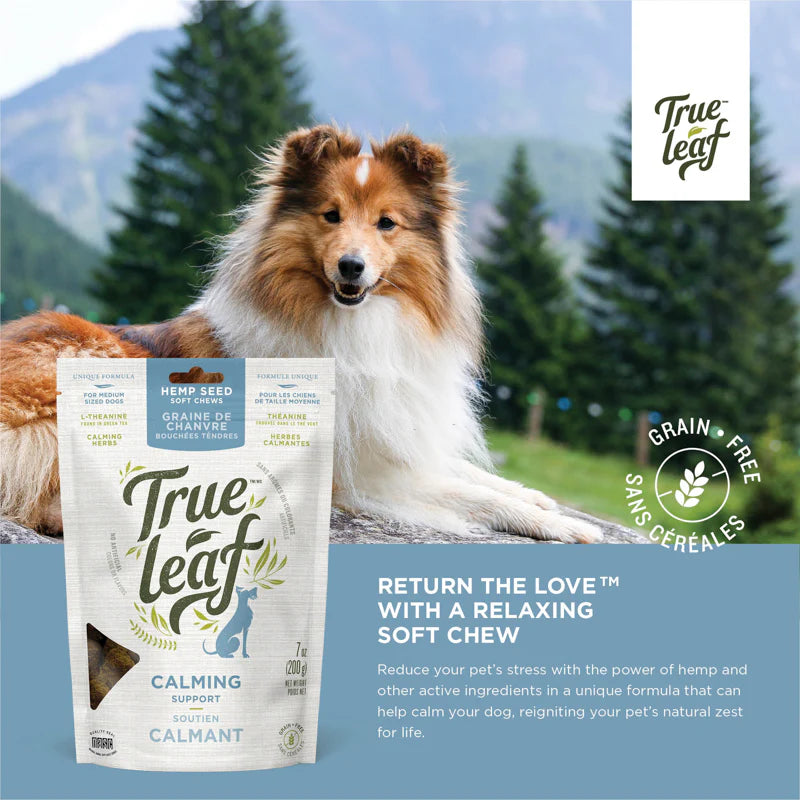 Trueleaf Calming Support Chews for Dogs (200g)