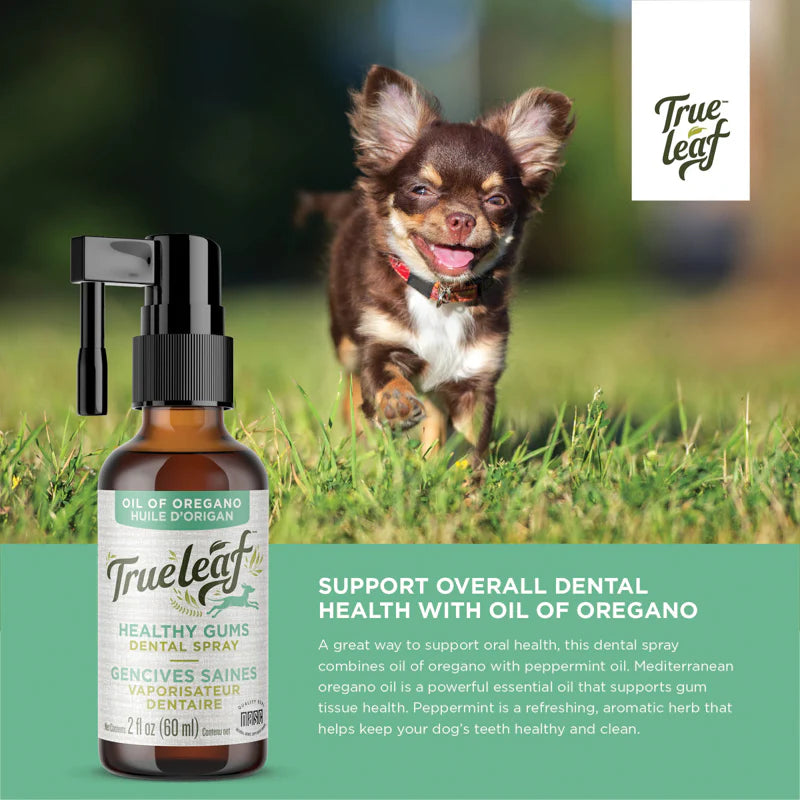 Trueleaf Healthy Mouth Dental Spray for Dogs