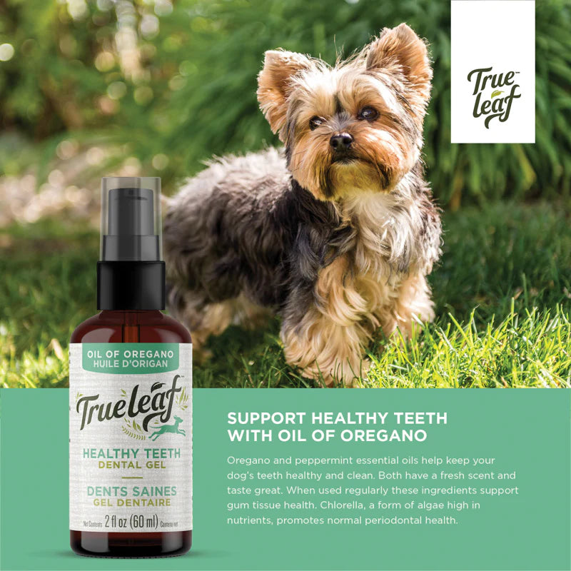Trueleaf Healthy Teeth Dental Gel for Dogs