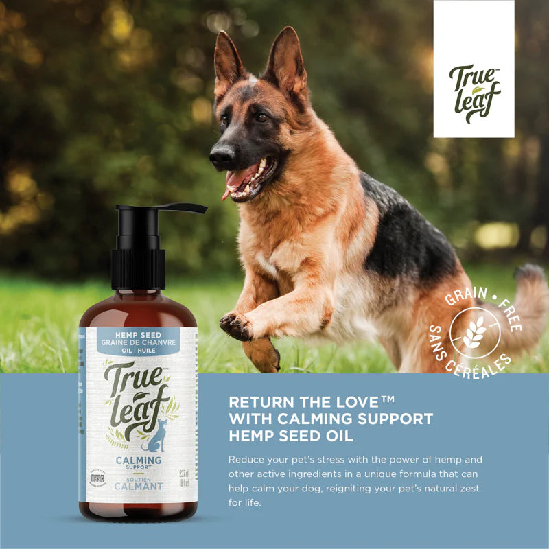 Trueleaf Calming Support Oil for Dogs 8oz