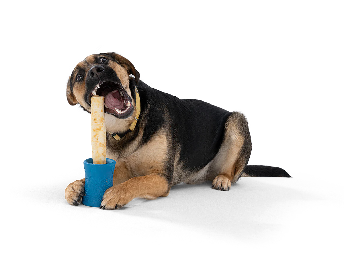 WestPaw Funnl Treat Holder