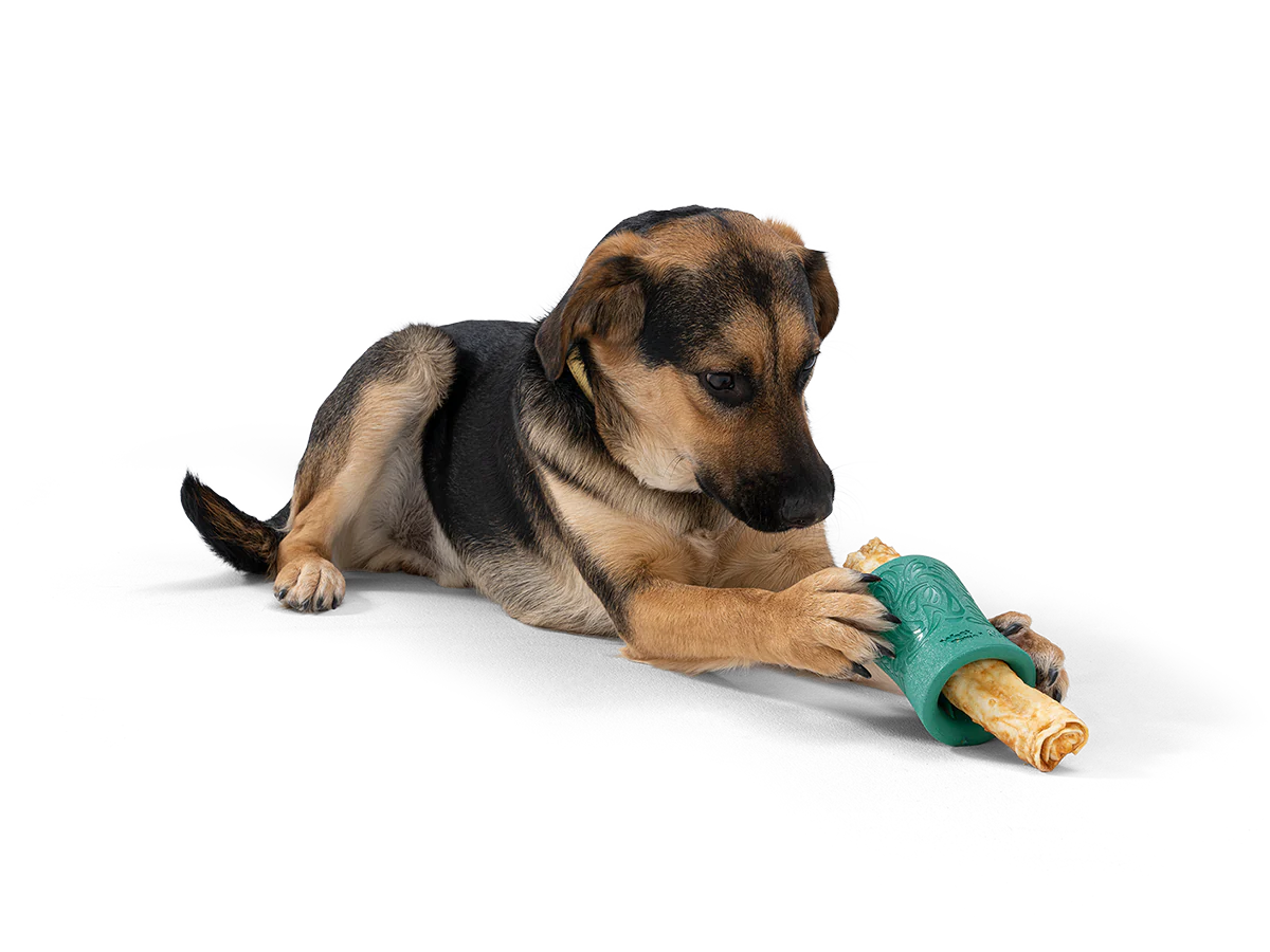 WestPaw Funnl Treat Holder