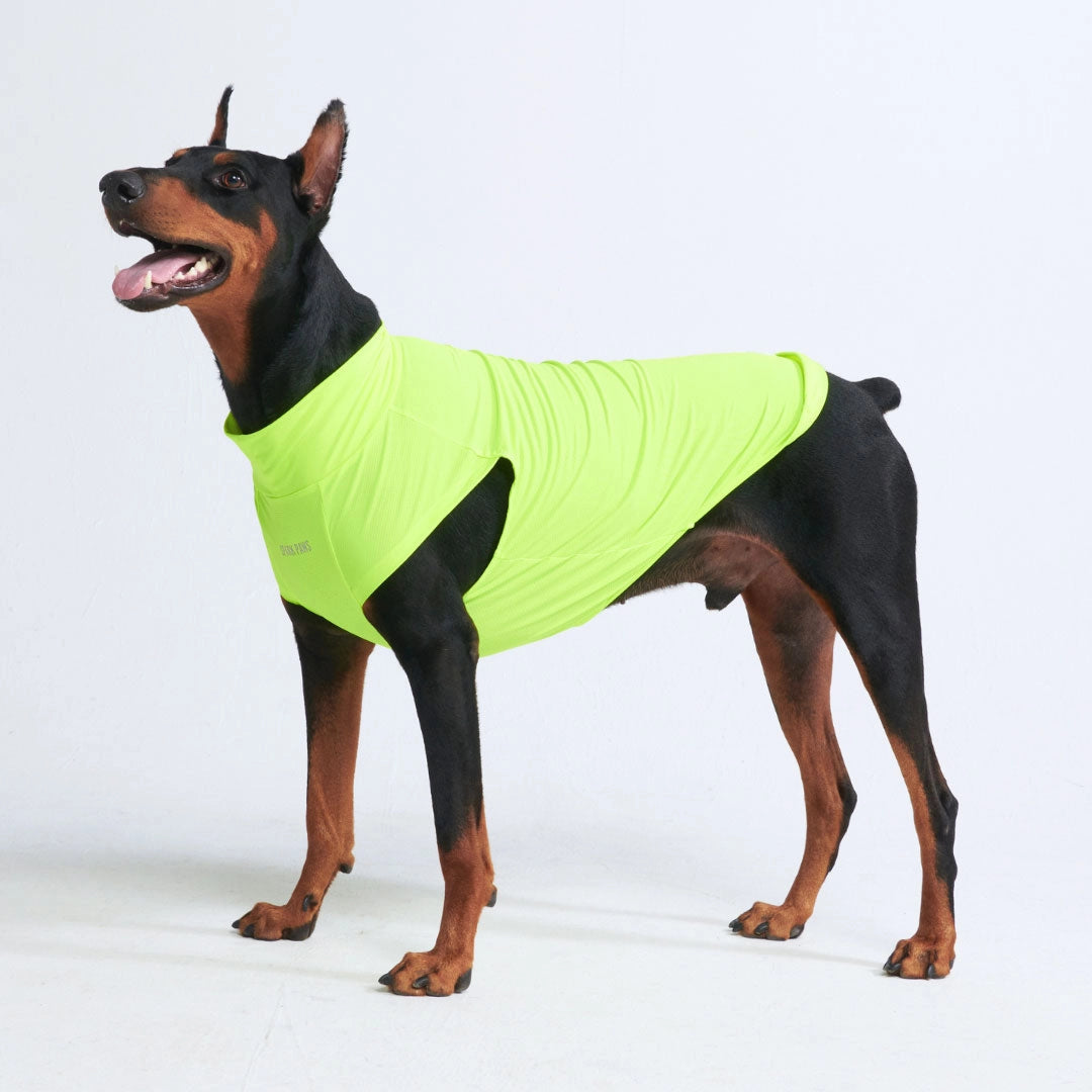 SparkPaws Sunblock Dog T-Shirt