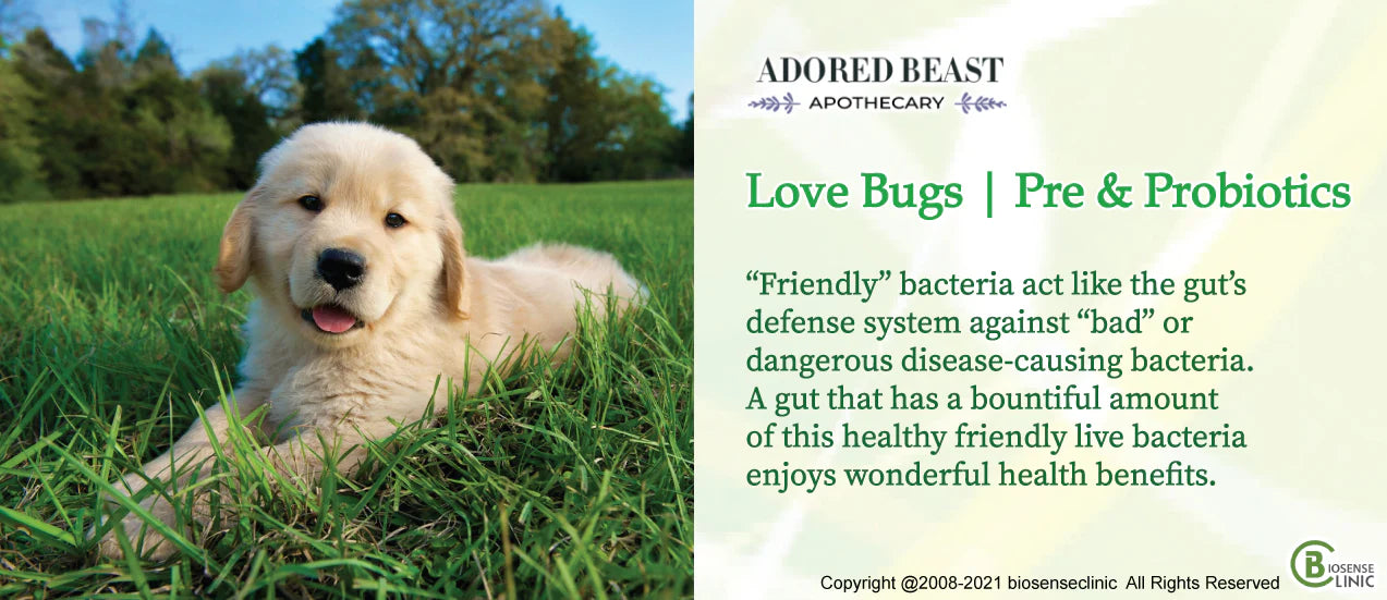 Adored Beast Love Bugs | Pre & Probiotics