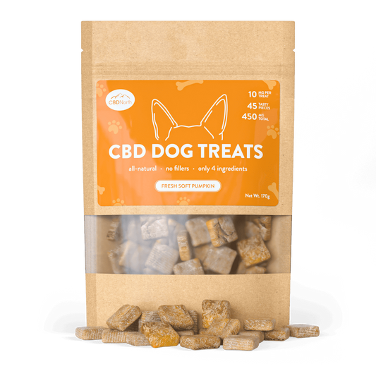 CBD North Dog Treats Fresh Soft Pumpkin