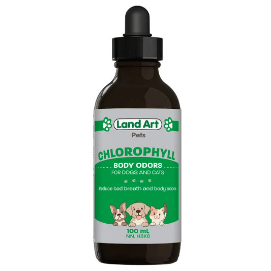 Landart Chlorophyll
