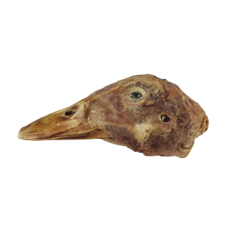 Dehydrated Duck Head