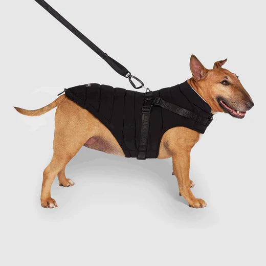 CANADA POOCH® THE HARNESS PUFFER BLACK