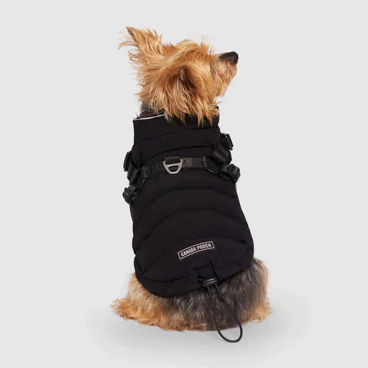 CANADA POOCH® THE HARNESS PUFFER BLACK