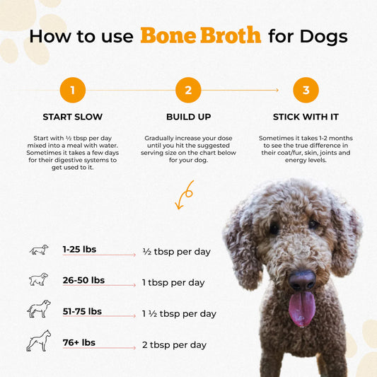 BlueBird Provisions Bone Broth