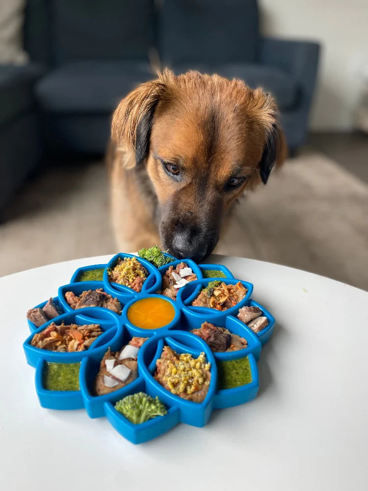 Mandala Design Etray Enrichment Tray For Dogs