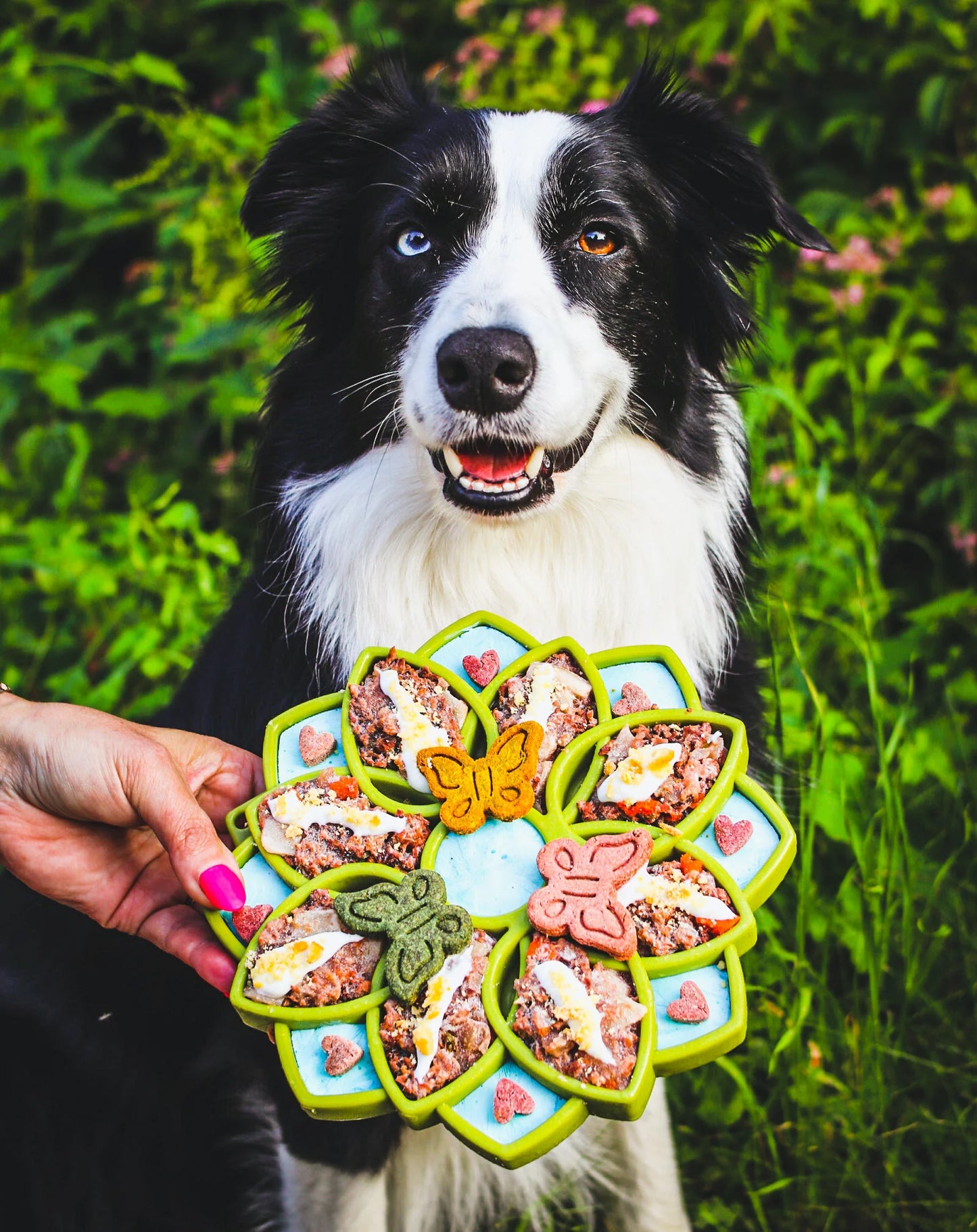 Mandala Design Etray Enrichment Tray For Dogs