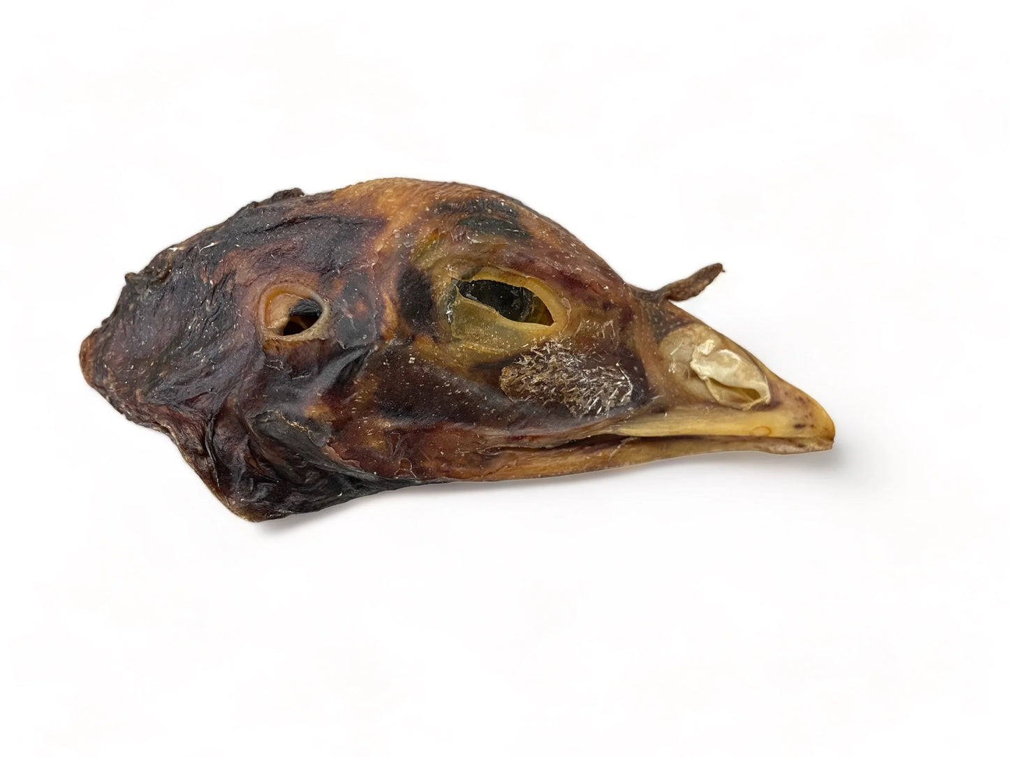 Dehydrated Turkey Head