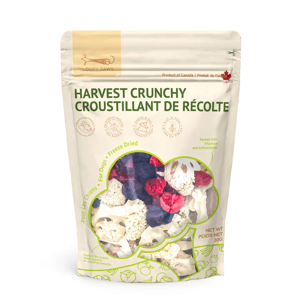 Loopy Paws – Harvest Crunchy – Cauliflower, Blueberry, Raspberry – 30g