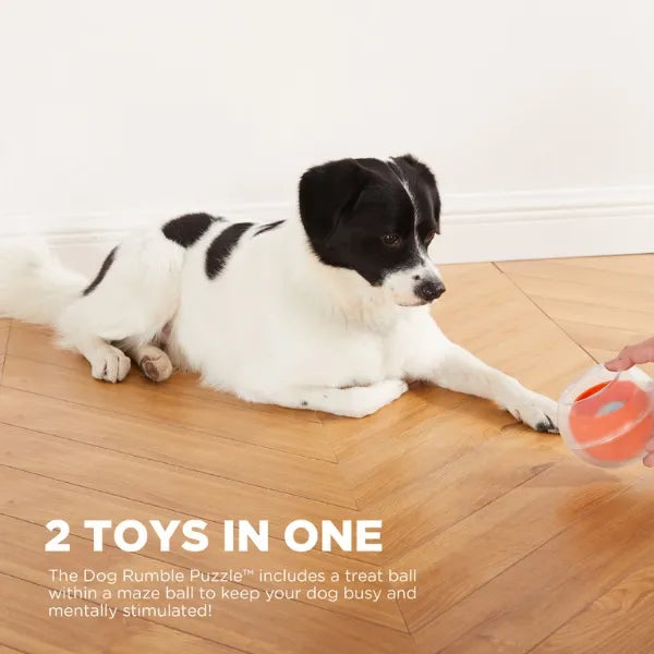 Outward Hound Nina Ottosson Topsy Treat Ball