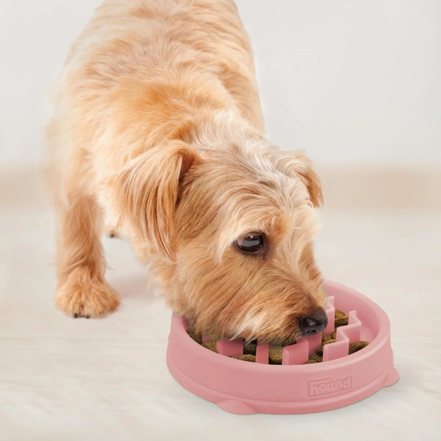 Outward Hound® Fun Feeder Wave Pink