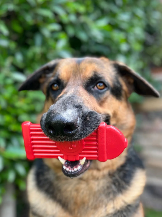 SimpleDog Tough Nylon Chew Toys