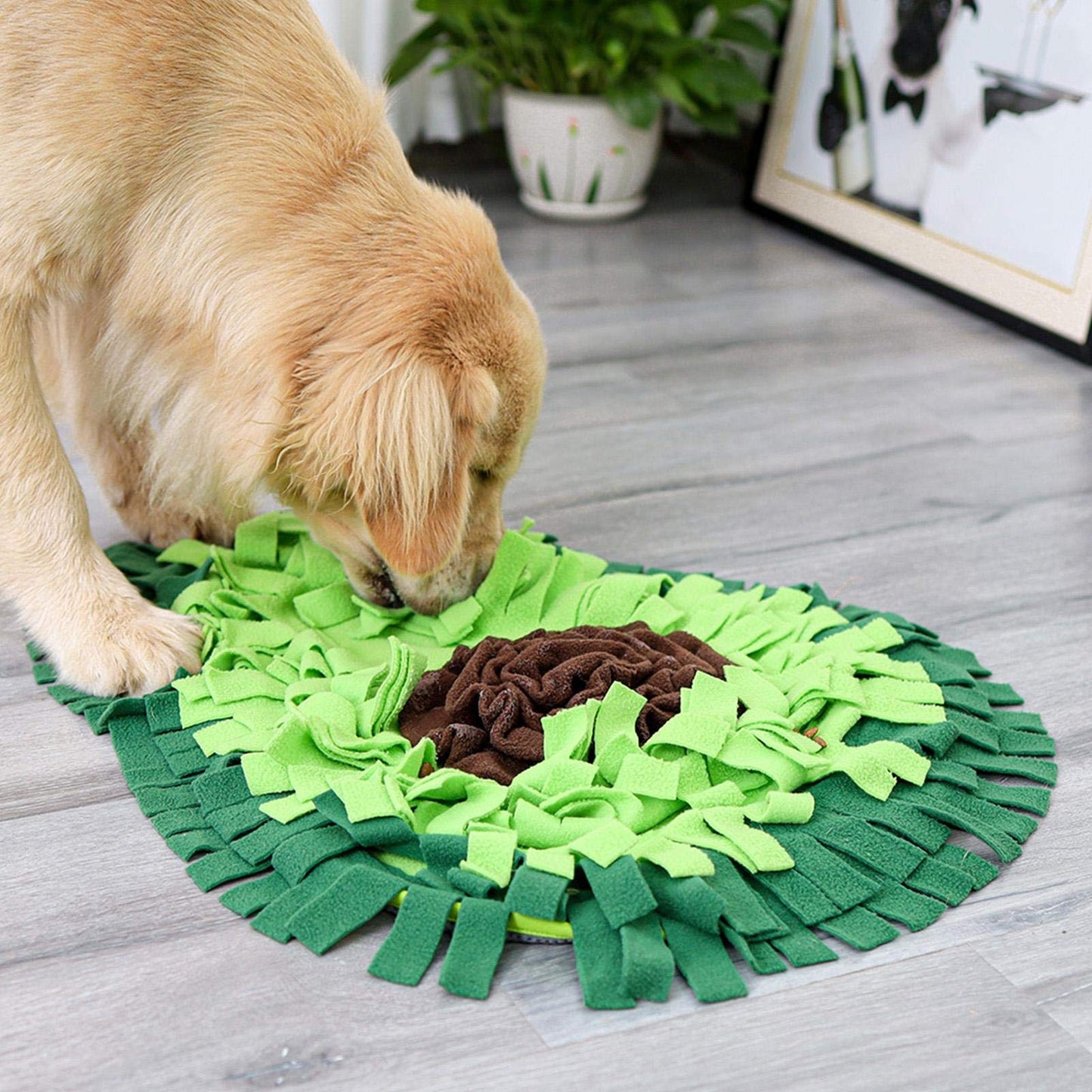 Injoya Avocado Snuffle Mat