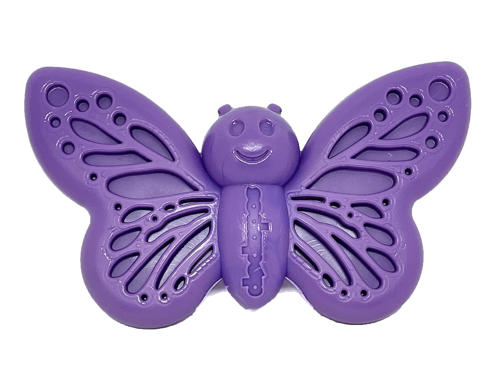 Butterfly Durable Nylon Chew and Enrichment Toy